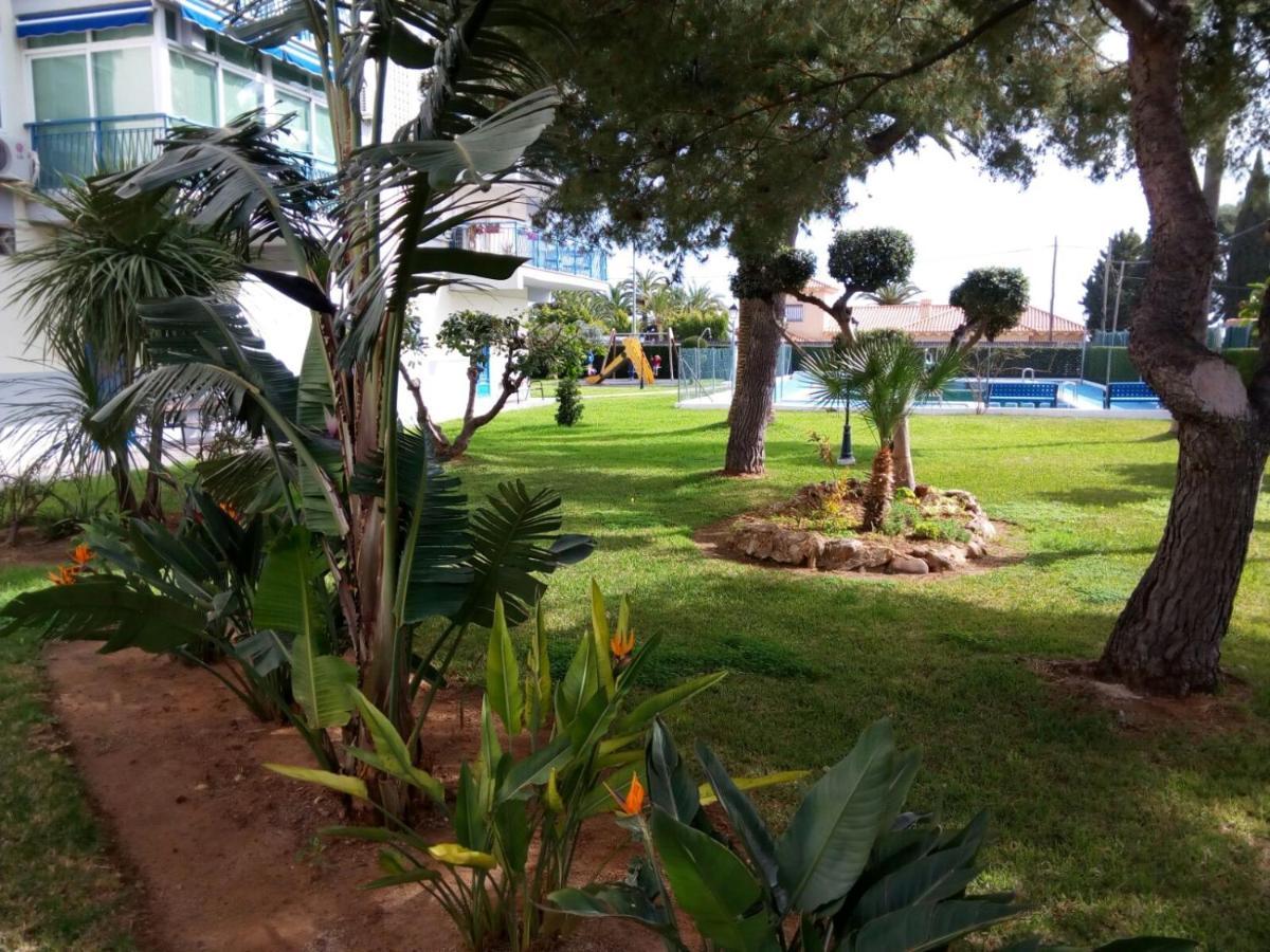 Primera Linea De Playa, Vistas Al Mar เบนิสกัสซิม ภายนอก รูปภาพ
